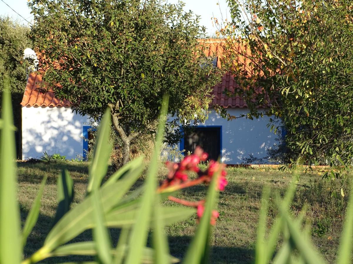 Quinta Das Teimosas By Stay In Alentejo Cercal do Alentejo エクステリア 写真